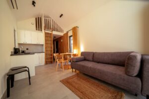 salon z aneksem kuchennym